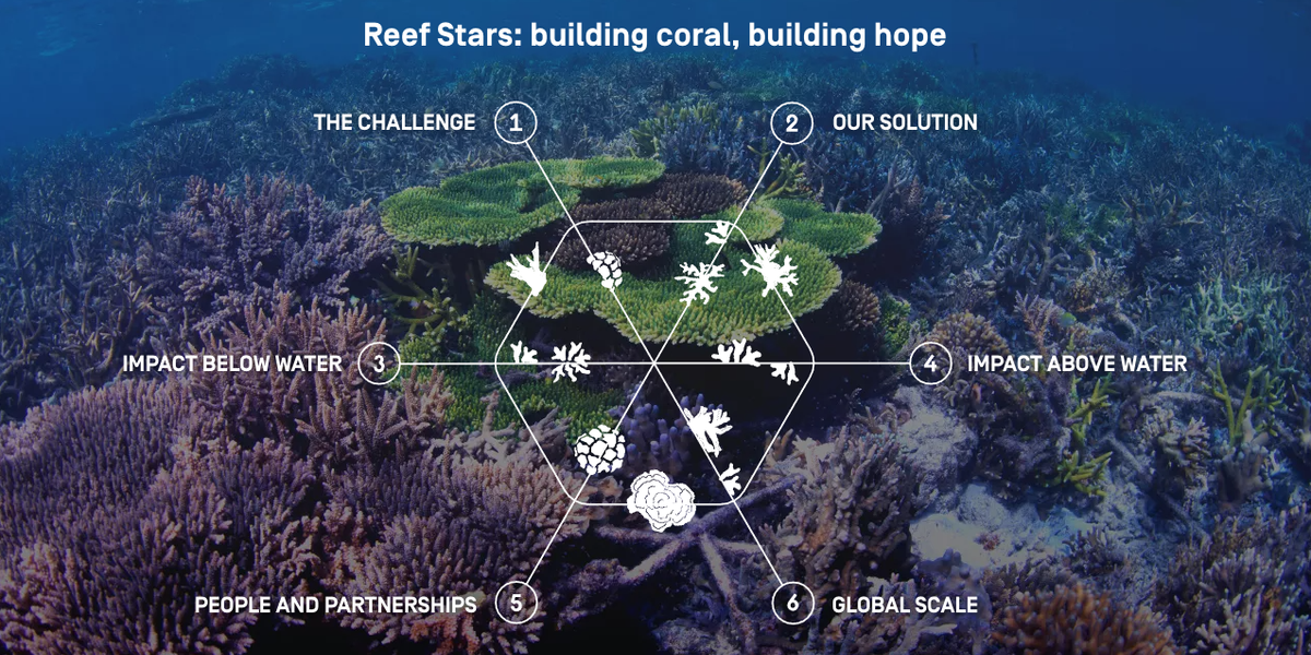 Our Solution Mars Coral